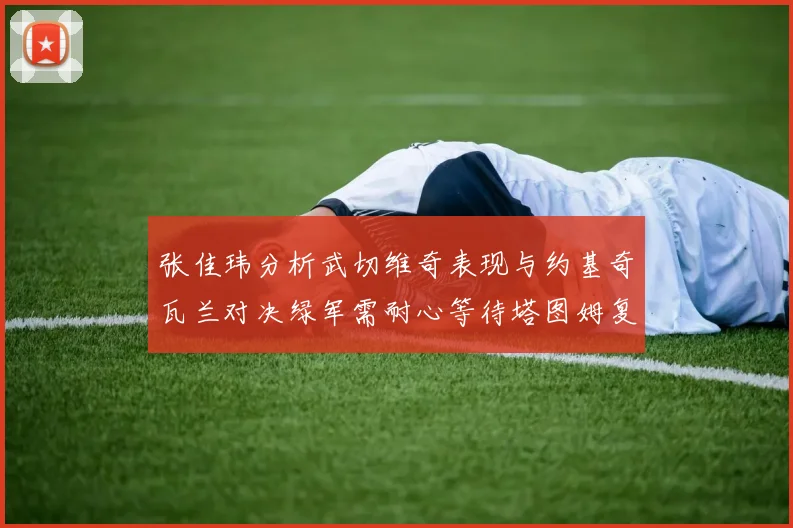 张佳玮分析武切维奇表现与约基奇瓦兰对决绿军需耐心等待塔图姆复出